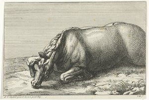 Cavallo caduto visto dal lato sinistro da Jan van Huchtenburg
