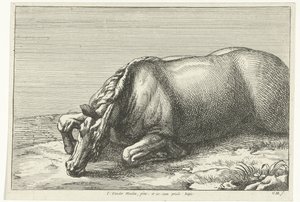 Cavallo caduto visto sul fianco sinistro (Gesneuvelde paarden) da Jan van Huchtenburg