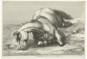 Cavallo caduto sul fianco destro da Jan van Huchtenburg