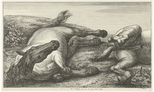 Due cavalli caduti di cui uno visto di fronte Cavalli caduti (titolo della serie) da Jan van Huchtenburg