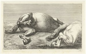 Due cavalli caduti, di cui uno visto di lato da Jan van Huchtenburg