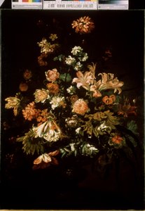Fiori
