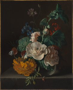 Natura morta floreale con agrifoglio e calendula da Jan van Huysum