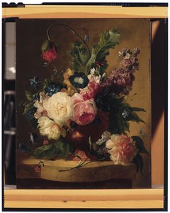 Natura Morta di Fiori
