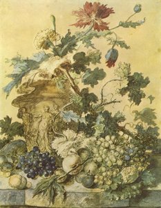 Fiori in un