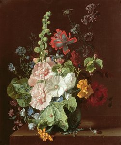 Malvarosa e altri fiori in un vaso, 1702-20