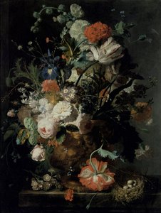 Immagine sconosciuta
