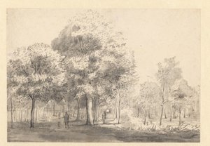 Veduta del Haarlemmerhout, Haarlem da Jan van Kessel (attributed to)