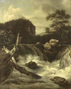 Una cascata da Jan van  Kessel