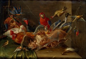 Composizione decorativa di natura morta con uccelli e due pipistrelli da Jan van Kessel