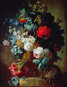 Immagine sconosciuta da Jan van Os