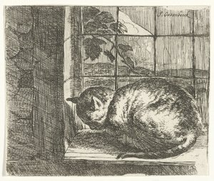 Gatto sul davanzale da Jan van Ossenbeeck