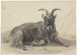 Caprone nero sdraiato da Jan van Ravenswaay
