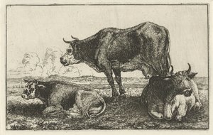 Tre mucche da Jan van den Hecke
