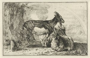 Capre da Jan van den Hecke