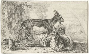 Capre da Jan van den Hecke