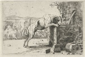 Cane presso una fontana da Jan van den Hecke