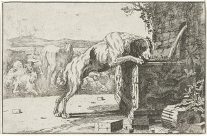 Cane presso una fontana Dieren (titolo della serie) Zoographiam (titolo della serie) da Jan van den Hecke