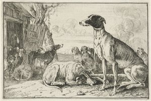 Canile da Jan van den Hecke