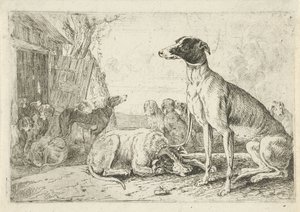 Canile da Jan van den Hecke