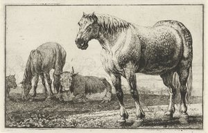 Cavalli e mucche da Jan van den Hecke