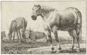 Cavalli e mucche da Jan van den Hecke