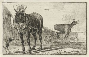 Due asini da Jan van den Hecke