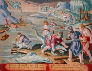 Uccisione di coccodrilli usando bastoni e mazze, tavola 88 da 