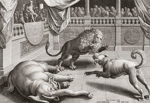 Alessandro Magno che osserva gli animali combattere, XVI secolo da Jan van der 1523 1605 after Straet