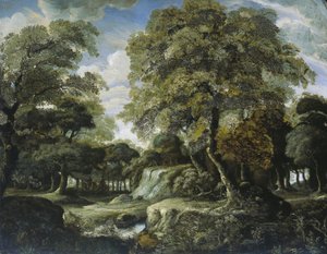 Veduta nel bosco da Jan van der Heyden