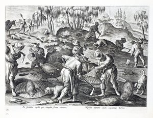 Scavare e Catturare Istrici, tavola 54, illustrazione da 