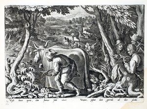 Caccia agli storni e pernici, illustrazione da 