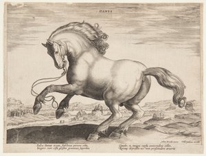 Un cavallo danese, dal quarto set di "Equile Joannis Austriaci" da Jan van der Straet, called Stradanus