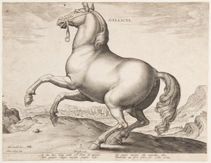 Un cavallo francese, dal primo set di "Equile Joannis Austriaci" da Jan van der Straet, called Stradanus