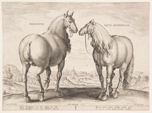 Un cavallo romano, dal primo set di "Equile Joannis Austriaci" da Jan van der Straet, called Stradanus