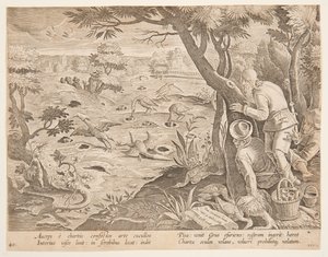 Caccia alla gru con coni, tavola 28 nella serie Venationes Ferarum, Avium, Piscium da Jan van der Straet, called Stradanus