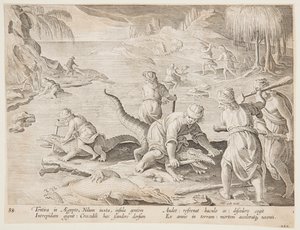 Caccia al coccodrillo a Tentyra, in Egitto, tavola 30 dalla serie Venationes Ferarum, Avium, Piscium