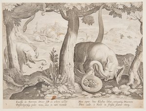 Combattimento tra elefanti e serpenti, tavola 2 dalla serie Venationes Ferarum, Avium, Piscium da Jan van der Straet, called Stradanus