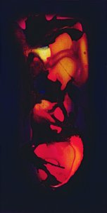 Cuore da Jane Deakin