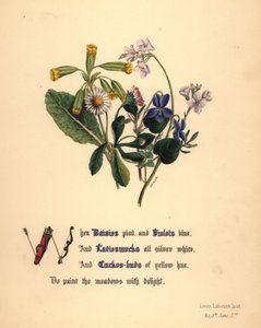 Margherite, violette, cardamine e ranuncoli da Jane Elizabeth Giraud