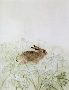 Coniglio da Jane Neville