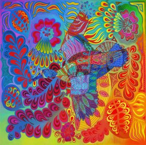 Anatra in volo, 2013
