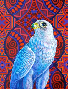 Falco grigio da Jane Tattersfield