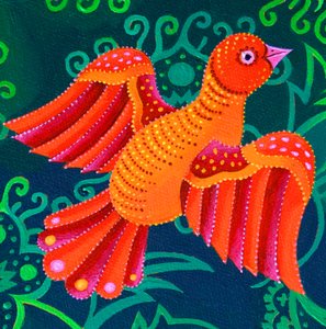 Uccello arancione, 2019