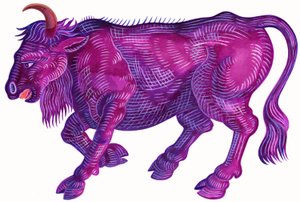 Toro infuriato