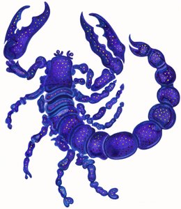 Scorpione da Jane Tattersfield