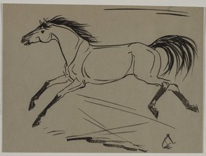 Cavallo al galoppo