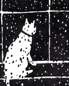 Gatto alla finestra durante una tempesta di neve, circa 2019 da Janel Bragg