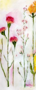 Fiori da Sheeley
