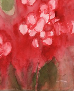Orchidea in cremisi allzarin, c.2017 da Janel Bragg
